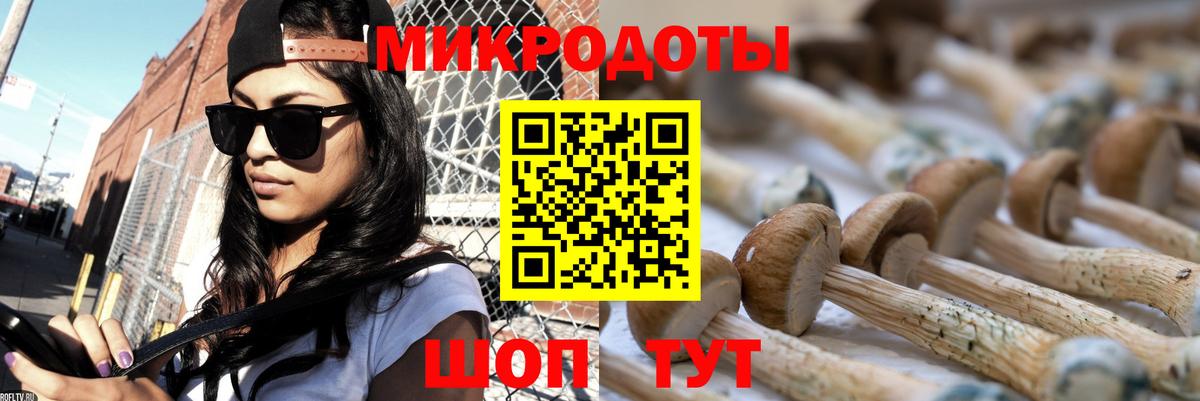купить  сайты  Псилоцибиновые грибы ЛСД  Вход с VPN  Коммунар 